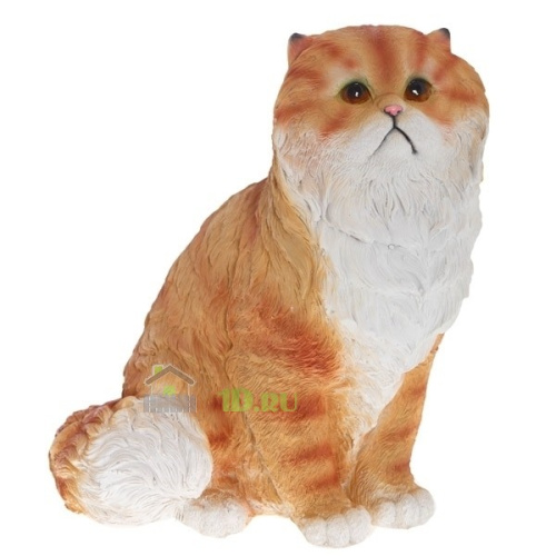 Кот персидский